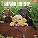 Labrador Retriever Puppies 2016 Wall Calendar
