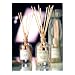 Reed Diffusers - 4.0 fl oz (Mandarin Grapefruit)