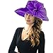Acecharming Women Organza Kentucky Derby Fascinator Lady Cocktail Tea Party Church Wedding Bridal Flower Hat