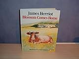 Blossom comes home