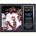 Dwyane Wade Miami Heat -2006 NBA Champions- 12x15 Plaque with Nameplate