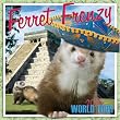 Ferret Frenzy 2010 Wall Calendar 13" X 12"