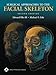Surgical Approaches to the Facial Skeleton