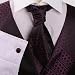 Purple Polka Dots Formal Vest for Men Plaid for Mens Gift Idea with Match Tuxedo Vests ,cufflinks, hanky and Ascot Tie for for Suit Y&G VS2032