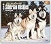 For the Love of Siberian Huskies 2016 Calendar