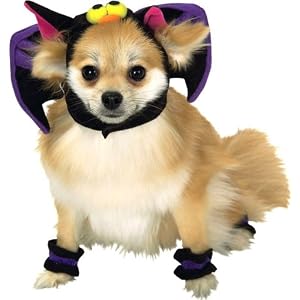 Bat Costume for Large Dogs