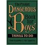 The Pocket Dangerous Book for Boys: Things to Do