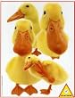 Hana Deka Ducks Jigsaw Puzzle 100pc