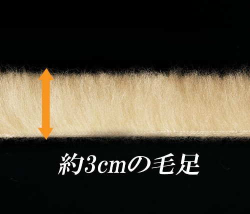 Cover image : Sofwool あったか掛け毛布 ダブル