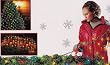 Set Of 150 Multi-Color Net Style Christmas Lights 24 Square Feet