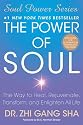 The Power of Soul: The Way to Heal, Rejuvenate, Transform, and Enlighten All Life (Soul Power Series)