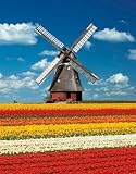 Clementoni - Puzzle - Mulino - Holland