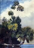 Hand Made Oil Reproduction - Winslow Homer - 24 x 34 inches - Palm Trees, Florida
