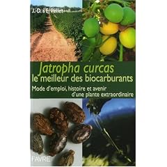 Jatropha Curcas le meilleur des biocarburants : Mode d'emploi, histoire et devenir d'une plante extraordinaire