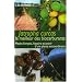 Jatropha Curcas le meilleur des biocarburants : Mode d'emploi, histoire et devenir d'une plante extraordinaire