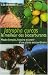 Jatropha Curcas le meilleur des biocarburants : Mode d