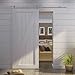 Best Choice Products 6.6 FT Modern Stainless Steel Interior Sliding Barn Wood Door Hardware Track Set