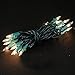 Novelty Lights 8.5 Feet 20 Bulb Clear Mini Light String on Green Wire, Non-Connectable Incandescent Fairy Lights for Bottles and Crafts, 4