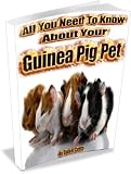 All You Need To Know About Your Guinea Pig Pet