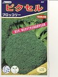 ピクセル　サカタのブロッコリー種です