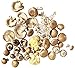 Mushroom Medley Bundle