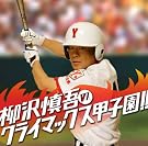 柳沢慎吾クライマックス甲子園!!