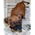 "Training Your Puppy"  A Guide To Dog Training