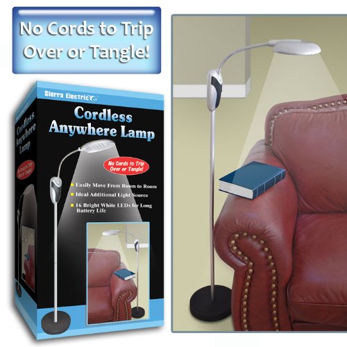 Portable Lamp Stand LED Lights Battery operated (fls)