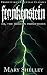 Frankenstein (Prohyptikon Essential Classics)