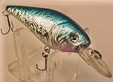 L 9 Shad Custom Lure Bass Fishing Plug Crankbait Shallow Diver 51an2aKUJrL. SL160 L 9 Shad Custom Lure Bass Fishing Plug Crankbait Shallow Diver
