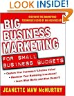 Big Business Marketing For Small Business Budgets