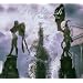 Best Music by Metal