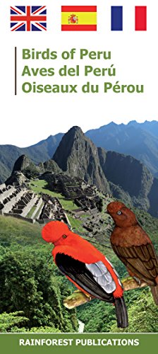 peru birds laminated foldout pocket field guide tropical wildlife field guide english and spanish edition