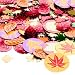 Search : Autumn Leaf Print Confetti