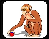 Mouse Pad with animal, monkey