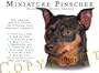 Miniature Pinscher Human Trainer Adult Ringer T Shirt - 2XL