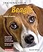 Training Your Beagle
