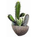 Faux Cactus Arrangement in Pot - Green (19")