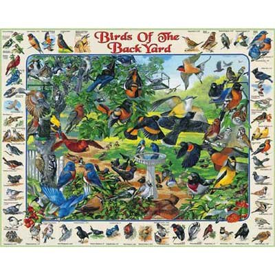 51ancE 0WIL Birds of the Back Yard Jigsaw Puzzle 1000pc