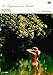 草の上の昼食 (デジタルリマスター版) [DVD]