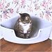 Pet Supplies : Corner Litter Box
