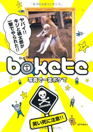 �̿��ǰ�� �ܥ���