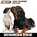 BEST Dog Training Collar with Remote