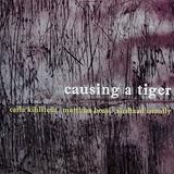 Carla Kihlstedt Causing a Tiger