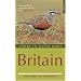 Where to Watch Birds in Britain