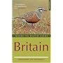 Where to Watch Birds in Britain