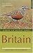 Where to Watch Birds in Britain