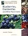 Blueberries, Cranberries and Other Vacciniums (Royal Horticultural Society Plant Collector Guide)