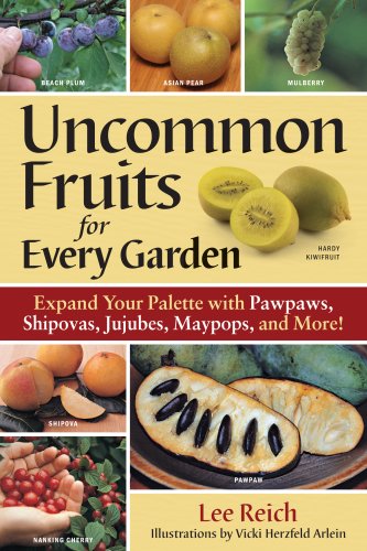 Fruits and Vegetables