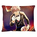 あんさんぶるスターズ! UNDEAD 大神晃牙 執事喫茶 ミニクッション